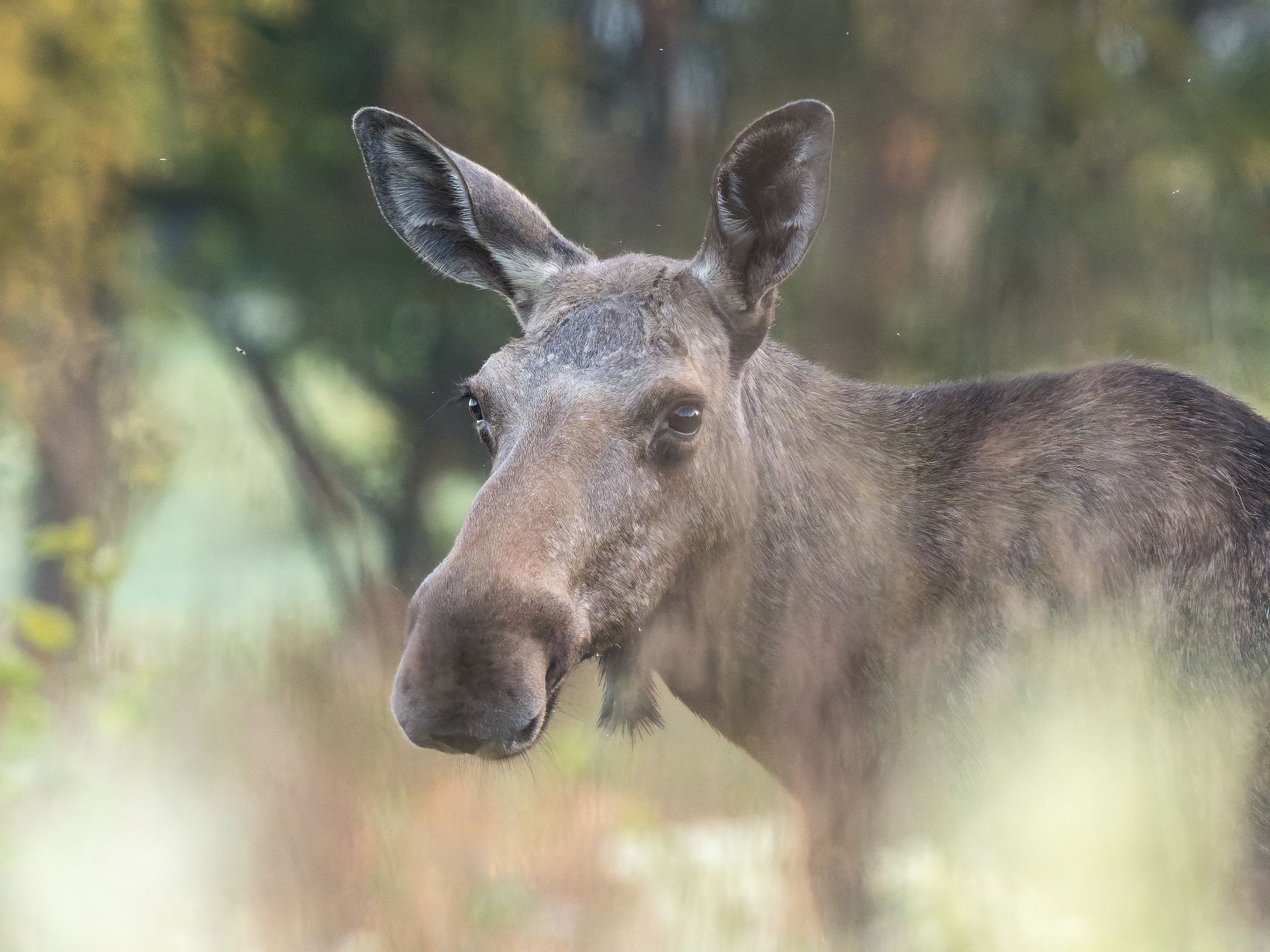 250724 0351 H  1HR0067 DxO DeepPRIME XD2s